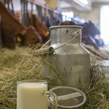 Erlebnishof Tschabitscher Farm stay *