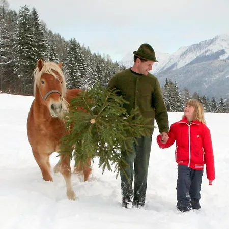 Farm stay Erlebnishof Tschabitscher *