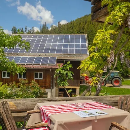 Erlebnishof Tschabitscher Farm stay *