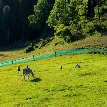 Erlebnishof Tschabitscher Farm stay Weissensee