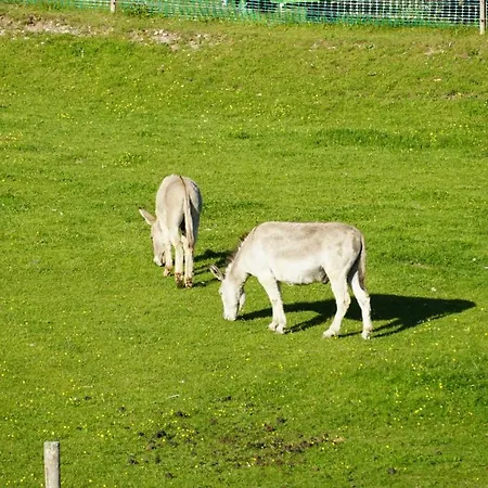 Farm stay Erlebnishof Tschabitscher *